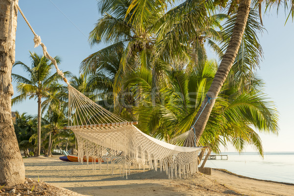 Resort Vacation Hammock Stock photo © THP