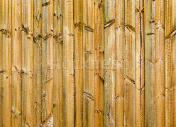 New Wood Fence Stock photo © THP