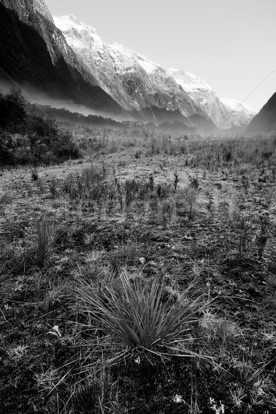 Utwór doliny Nowa Zelandia wygaśnięcia świetle podróży Zdjęcia stock © THP