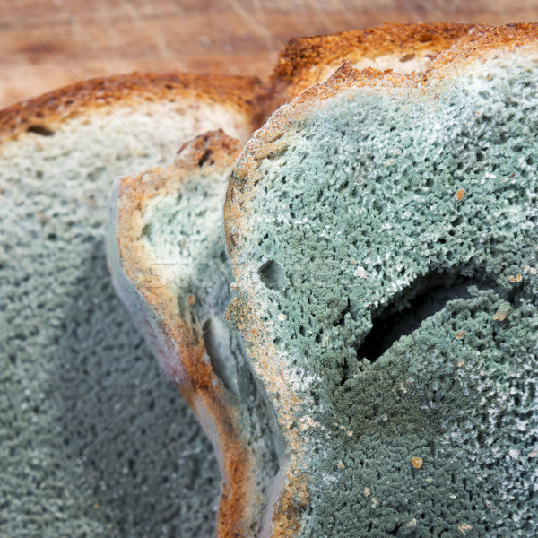 Pâine mucegai crestere verde alb negru Imagine de stoc © THP