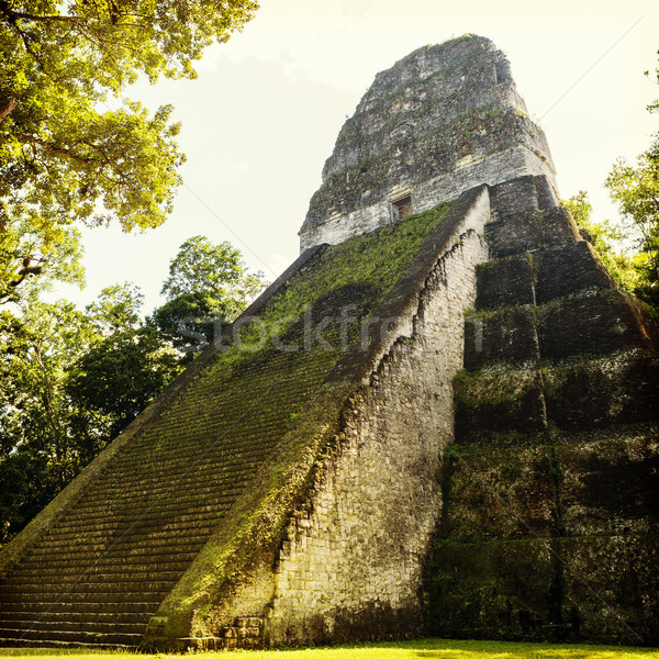Templu Guatemala faimos parc natură călători Imagine de stoc © THP