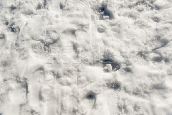 Snow Footprints Stock photo © THP