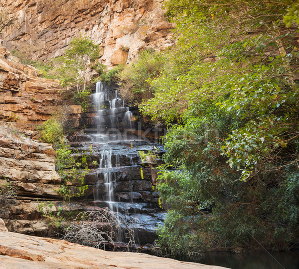 Moremi Gorge Waterfall Botswana Stock photo © THP