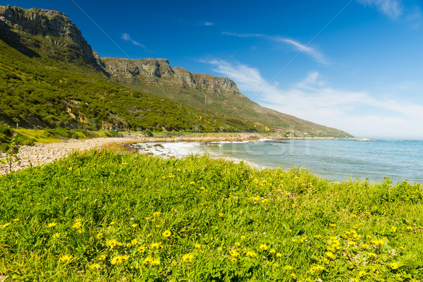 Stock photo: Coastline In South Africa