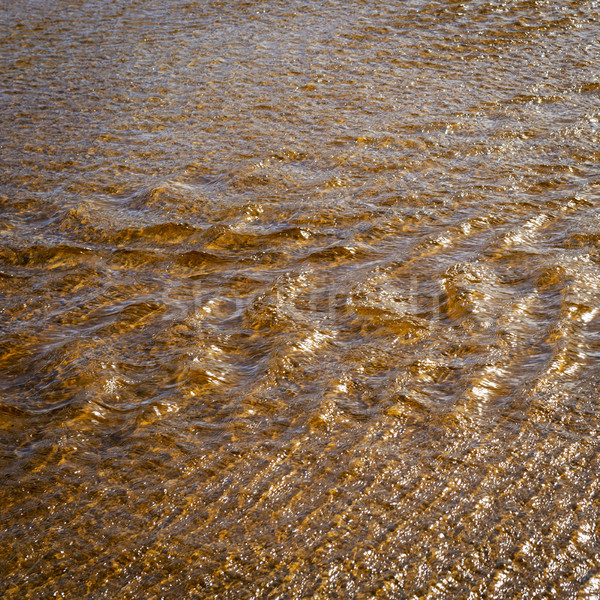水 陽光 運行 波紋 性質 背景 商業照片 © THP