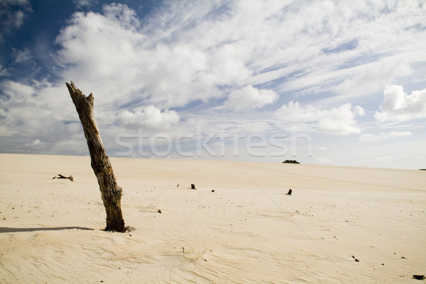 Arena grande playa océano Foto stock © THP