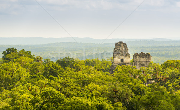 Parc Guatemala ruine junglă faimos Imagine de stoc © THP