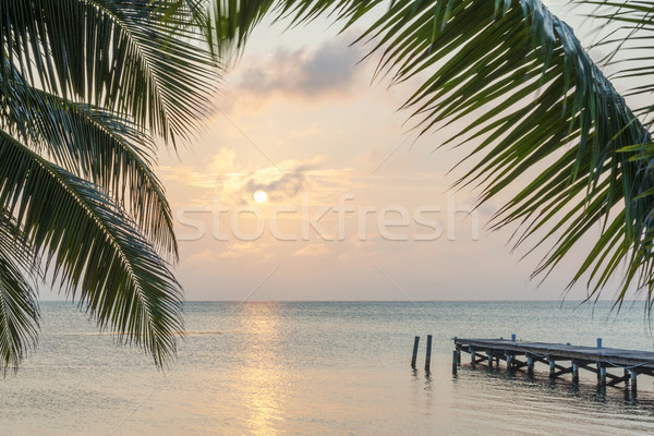 Tropical Sunrise Jetty Stock photo © THP