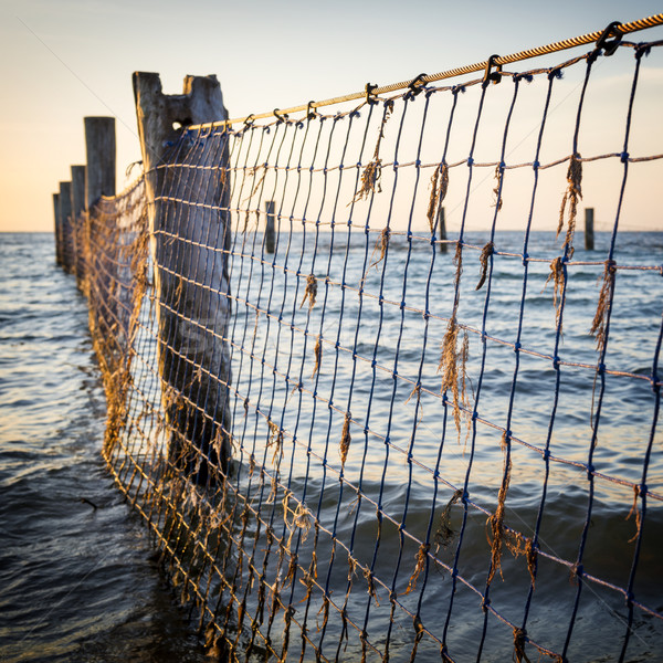 Seaside Nets Stock photo © THP