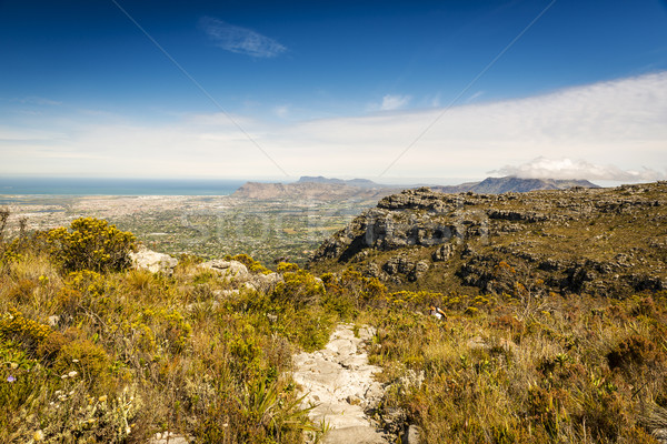 Randonnée table montagne randonneur suivre Le Cap [[stock_photo]] © THP