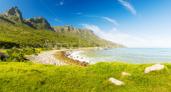 Coastline In South Africa Stock photo © THP