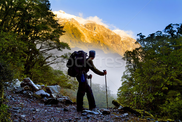 すごい ハイキング ハイカー 上昇 森林 木 ストックフォト © THP