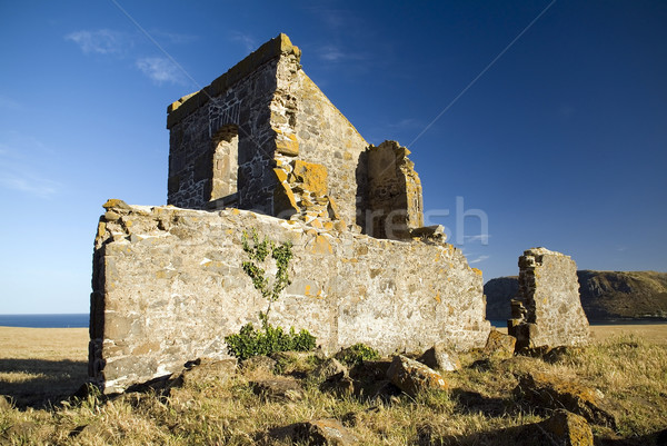 Convict Ruins Stock photo © THP