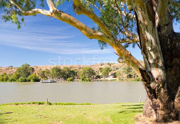Murray River Boat Stock photo © THP
