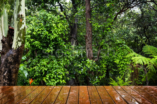 Wooden Floor and Forest Stock photo © THP