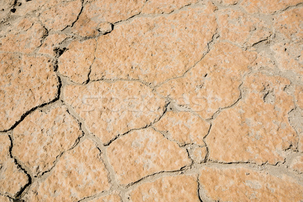 Cracking Earth Stock photo © THP