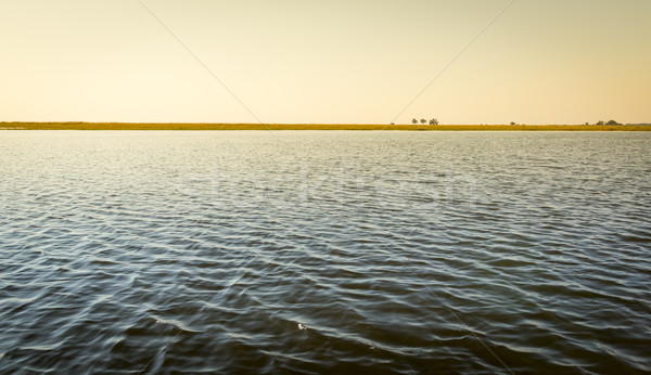 Chobe River Stock photo © THP
