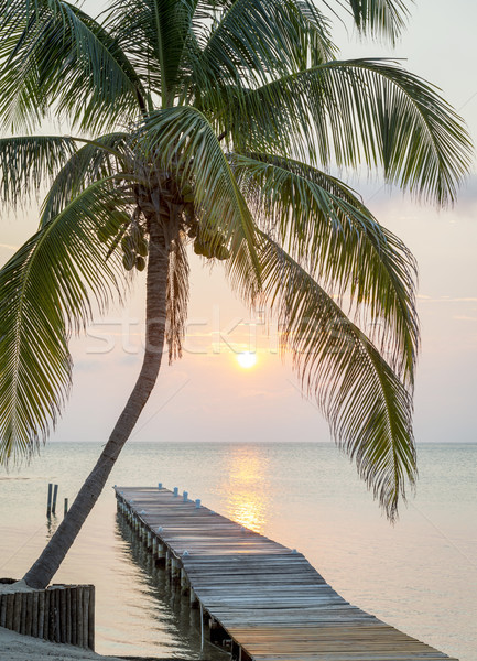 Tropical Sunrise Jetty Stock photo © THP