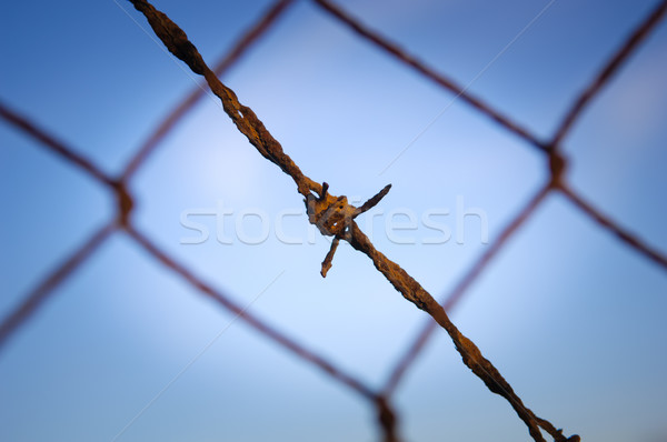 Drutu kolczastego blisko zardzewiałe starych Błękitne niebo Zdjęcia stock © THP