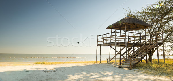 Houten dak uit schaal Stockfoto © THP
