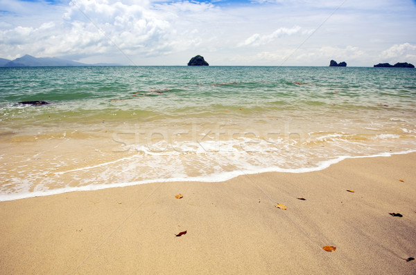 Foto stock: Praia · praia · tropical · ondas · céu · água