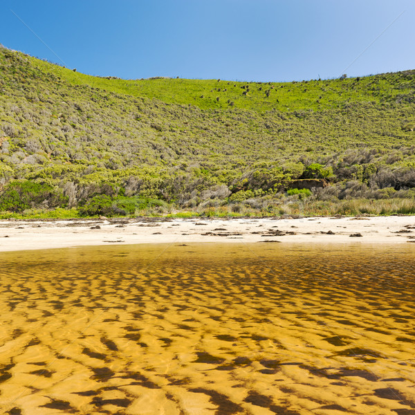 Stok fotoğraf: Yarımada · güney · avustralya · derin · dere · koruma · park