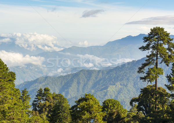 Guatemala Mountain Landscape Stock photo © THP