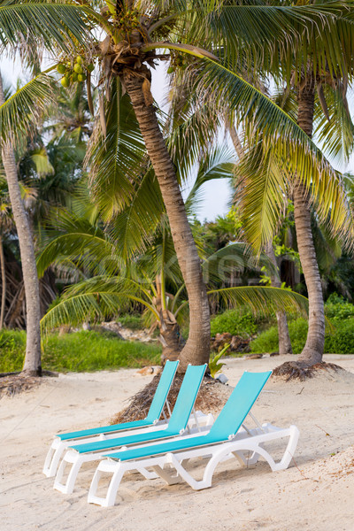 Bananen Lounge Stühle Paradies Strand Sand Stock foto © THP