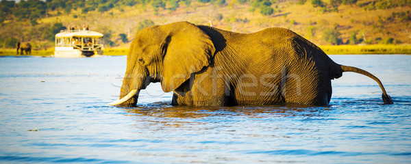 Tourists On Elephant Safari Africa Stock photo © THP