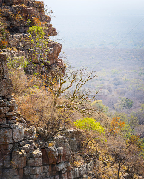 Moremi Gorge Botswana  Stock photo © THP