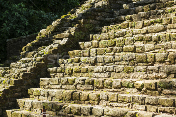 Ancient Mayan Stone Stairs Stock photo © THP
