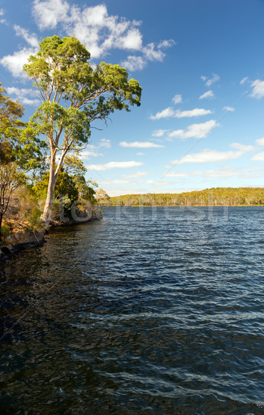 水 池 阿德萊德 丘陵 南澳大利亞 旅行 商業照片 © THP
