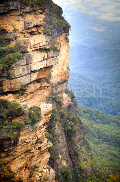 藍色 山 澳大利亞 悉尼 深 商業照片 © THP