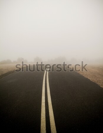 Neblig Straße dunkel Double Zeilen Wolke Stock foto © THP