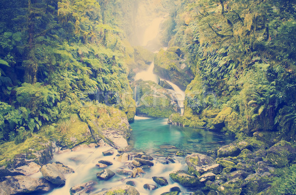 Amazing Waterfall Stock photo © THP
