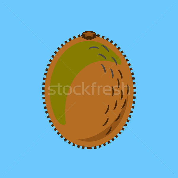 [[stock_photo]]: Kiwi · fruits · minimalisme · art · vecteur · simple