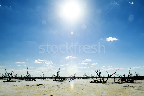 Climate Change Stock photo © THP
