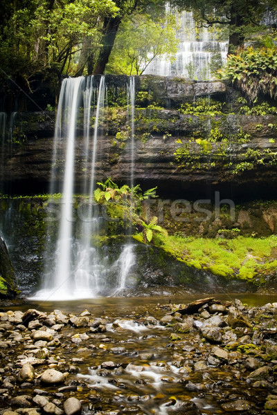 Russel Falls, Tasmania Stock photo © THP