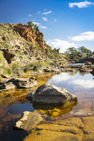 Outback Oasis Stock photo © THP