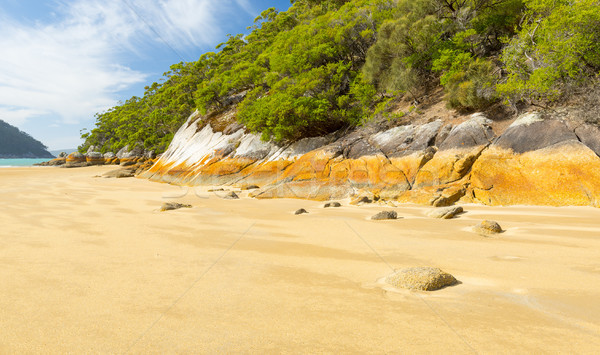 Australian Beach Stock photo © THP