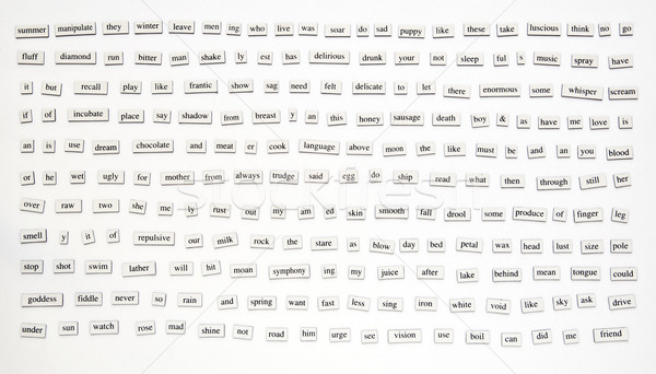Magnetic cuvinte diferit gresie negru joc Imagine de stoc © THP