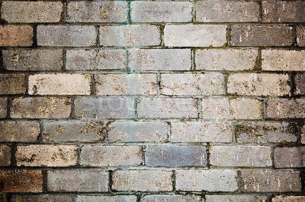 Brick Wall Stock photo © THP