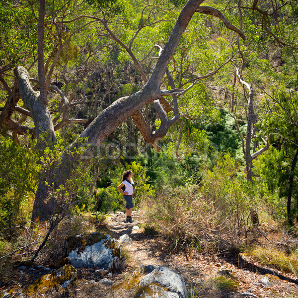 Wandelen vrouw jonge vrouw australisch bush meisje Stockfoto © THP