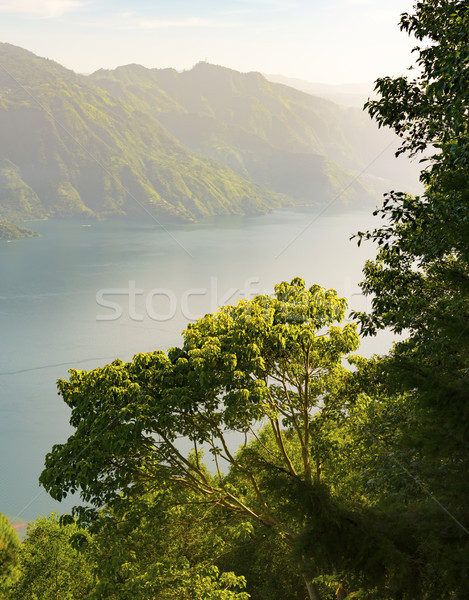 Lake Atitlan Forest Sunrise Stock photo © THP