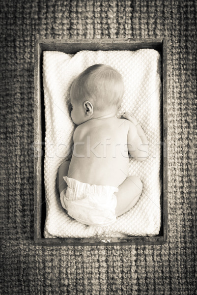 Newborn Baby In Crate Filtered Stock photo © THP