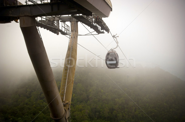 Cabo carro surpreendente linhas selva montanha Foto stock © THP