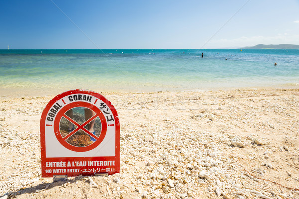Korallenriff Schäden Ente Insel neue Warnzeichen Stock foto © THP