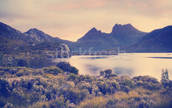 Kołyska górskich tasmania ikonowy obraz Zdjęcia stock © THP