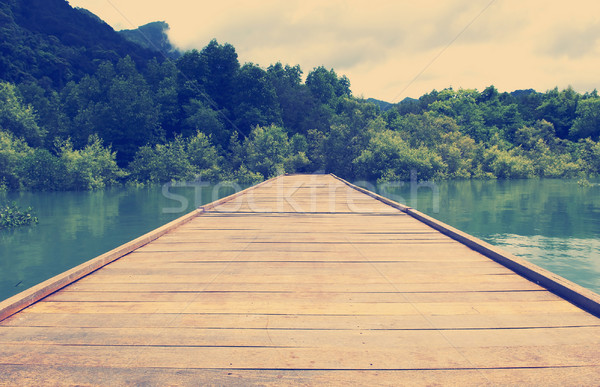 Endless Boardwalk Stock photo © THP