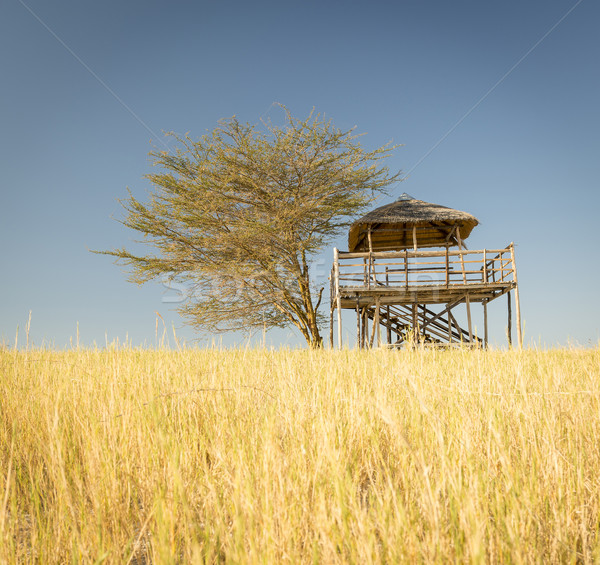 African Safari Hut Stock photo © THP